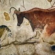 Lascaux Ii Cave Painting Replica #1 Poster