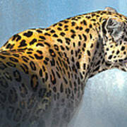 Leopard Poster