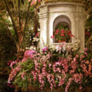 Orchid Garden Poster