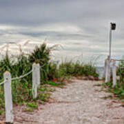 Pathway To The Beach #2 Poster