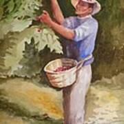 Picking Coffee #1 Poster