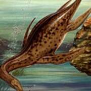 Plesiosaurus Marine Reptile #1 Poster
