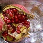 Pomegranate On Abalone Poster