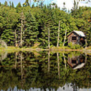 Pond Along The At Poster