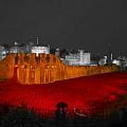 Poppies Tower Of London Night  #1 Poster