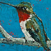 Ruby-throated Hummingbird Poster
