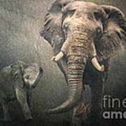 Save The Elephants Poster