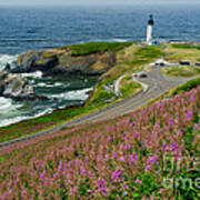 Summer Time At Yaquina Head #1 Poster