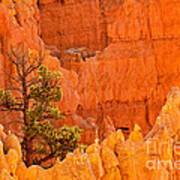 Sunset Point Bryce Canyon National Park #1 Poster