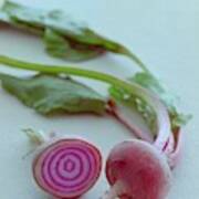 Two Chioggia Beets #1 Poster