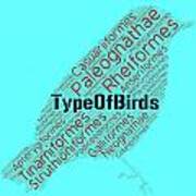 Type Of Species Of Birds #1 Poster
