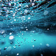 Underwater Bubbles #1 Poster