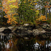 View Of Stream In Fall Colors, Maine #1 Poster