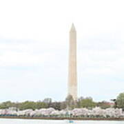Washington Monument - Cherry Blossoms - Washington Dc - 01136 #1 Poster