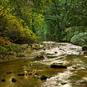 Woodland Stream In Autumn #1 Poster