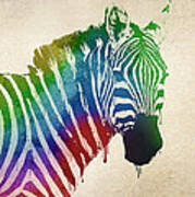 Zebra #1 Poster