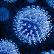 Swine Influenza Virus H1n1 #11 Poster