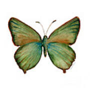 17 Green Hairstreak Butterfly Poster
