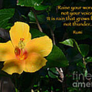 174- Rumi Poster