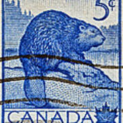 1954 Canada Beaver Stamp Poster