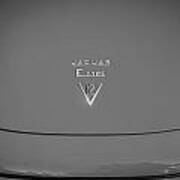 1975 Jaguar Xke V12 Hood Ornament Painted Bw Poster