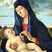 Bellini's Madonna And Child In A Landscape Poster