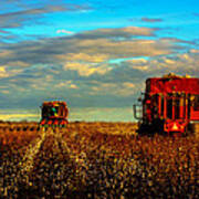 Cotton Harvest #1 Poster