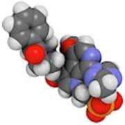 Fostemsavir Hiv Drug Molecule #2 Poster