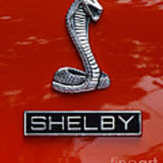 Gt350shelby #2 Poster
