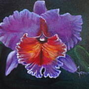 Lavender Orchid Poster