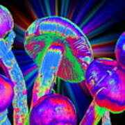 Magic Mushrooms #2 Poster