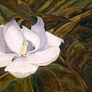 Magnolia Blossom #2 Poster