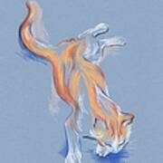 Orange And White Tabby Cat #2 Poster