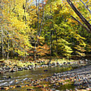 Philadelphia Landmark Pennypack Creek In Autumn #2 Poster