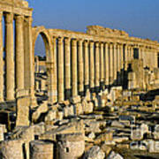 Ruins At Palmyra, Syria #2 Poster