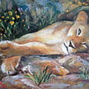 Sleep Lion Poster