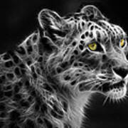 Snow Leopard Poster