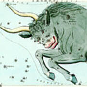 Taurus Constellation #2 Poster