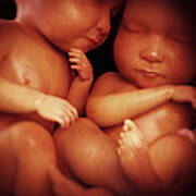 Twin Babies #2 Poster