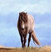 Welsh Pony Painting #2 Poster