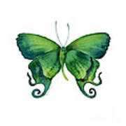 29 Arcas Butterfly Poster