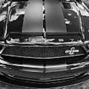 2008 Ford Shelby Mustang Gt500 Kr Painted Bw  #3 Poster