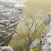 Autumn Fog Bear Rocks #3 Poster