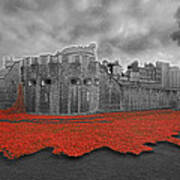 Poppies Tower Of London Collage #3 Poster