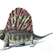 3d Rendering Of A Dimetrodon Dinosaur Poster