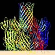 Pore Protein From Staphylococcus Aureus #4 Poster