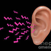 Sound Entering Human Outer Ear Poster