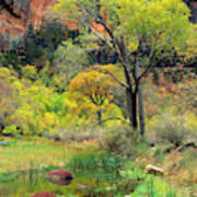 Zion National Park, Utah #4 Poster