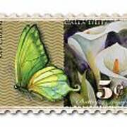 5 Cent Butterfly Stamp Poster