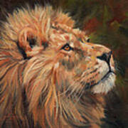 Lion #5 Poster